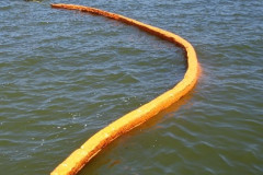 Abasco6