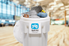 newpig1